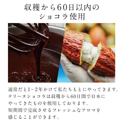 テリーヌショコラ