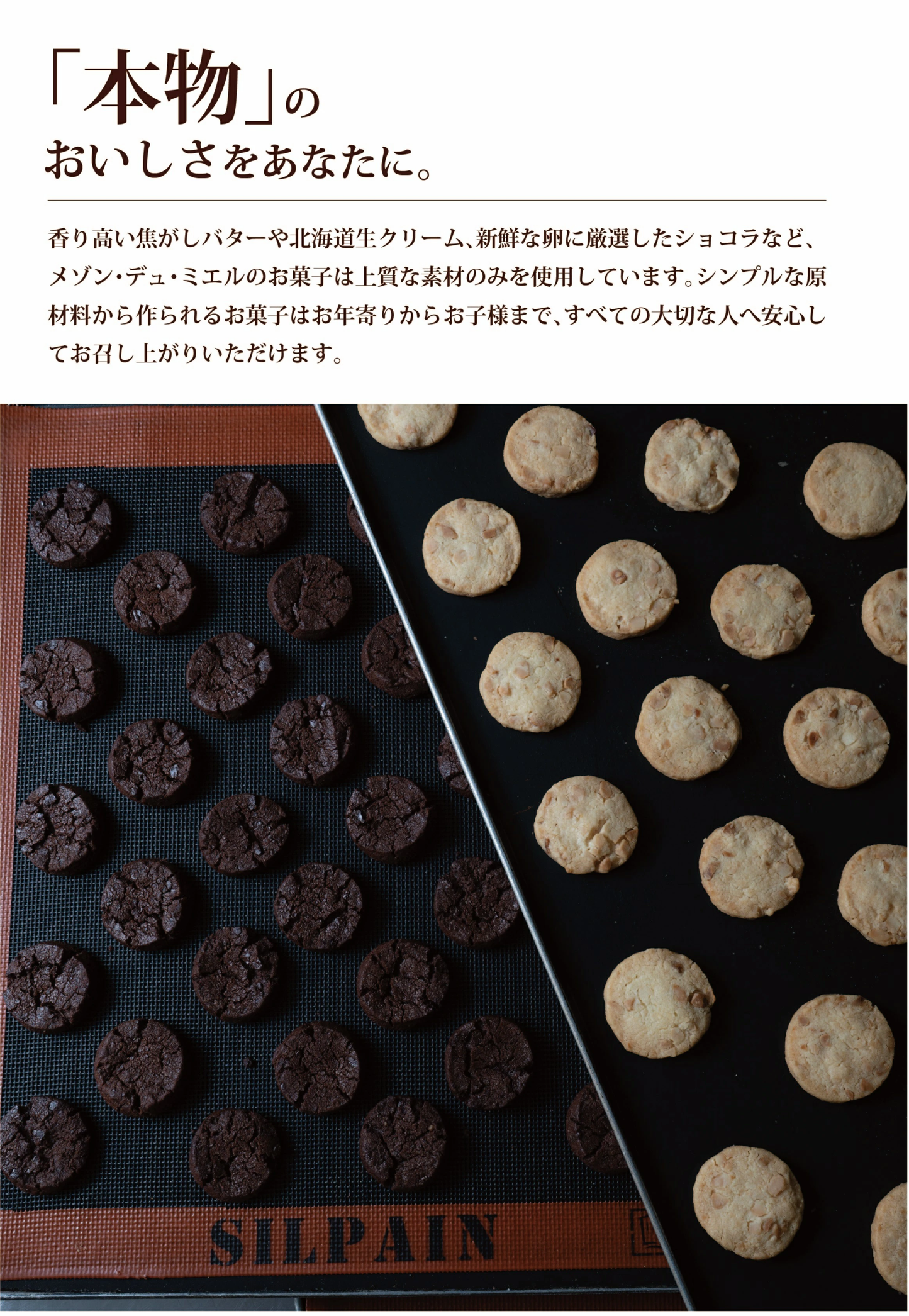 猫さんのサブレ缶 クッキー缶