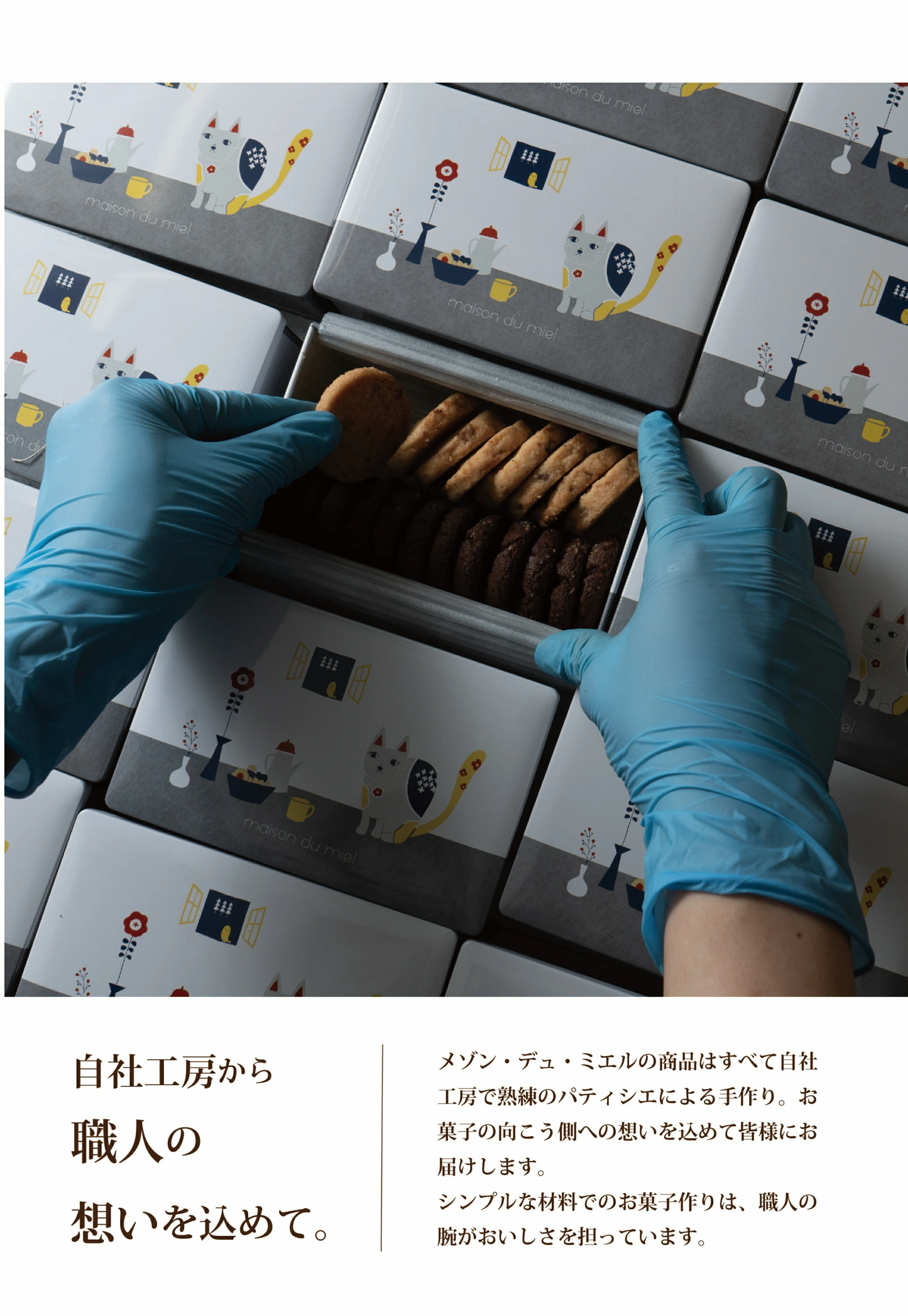 猫さんのサブレ缶 クッキー缶