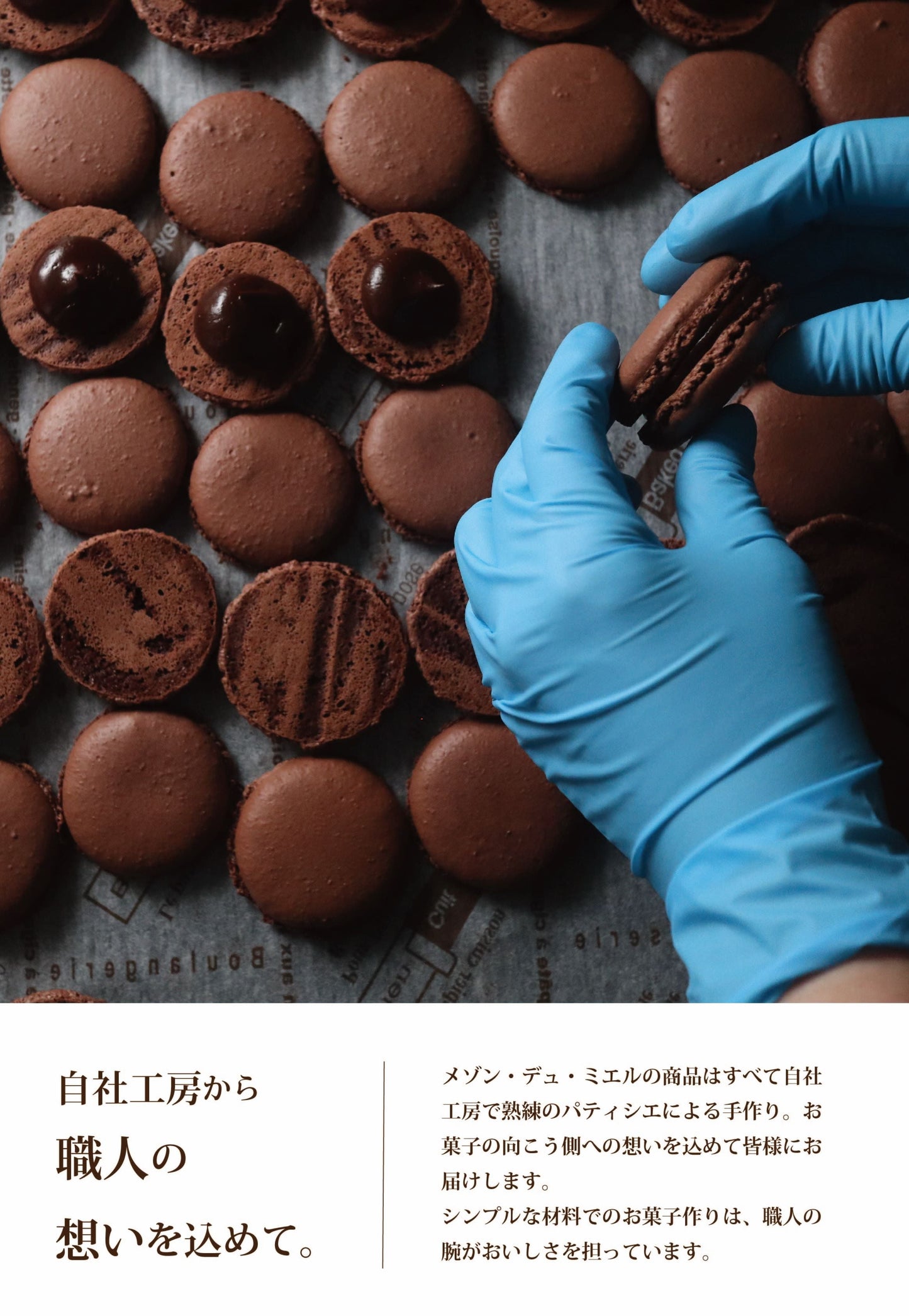 マカロン 5個入 10個入